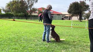 2026 Oct 15 Jaffa directed jumping b