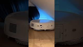 NIE WIEDER MEHR ARBEITEN #DJI #DJIROMO #Djiromos #Vlog #cleanhome