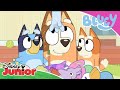 Magical Moments Bluey Disney Junior Arabia 