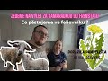 Ze zivota pacosu dil 6..Navštívíme kamarádku ve Frenštátě,dorazila pampeliška od Vás a mnoho dalšího