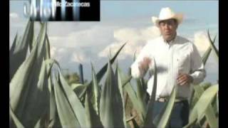 Uriel Garcia Talavera - Rancho La Jococa - Fresnillo Zacatecas