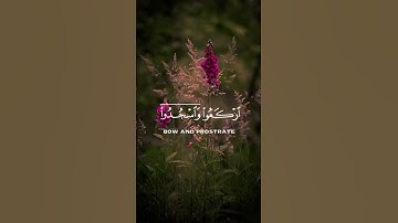 سورة الحج آيه{ ٧٧ }#المصحف #quran #اكسبلور #حالات_واتس #راحة_نفسية #دويتو #islamicholiday #islamicfe