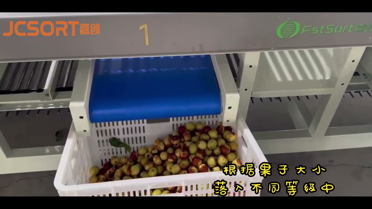 Jujube Size Grading Machine, Jujube Size Grader, Jujube Sorting Equipment, Date Grading Machine