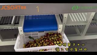 Famous Jujube Size Grading Machine, Jujube Size Grader, Jujube Sorting Equipment, Date Grading Machine Wealth