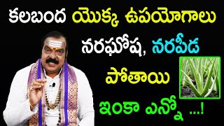 కలబంద యొక్క ఉపయోగాలు | Amazing Benefits Of Aloe Vera | Kalabanda Uses | Dr Machiraju Venugopal