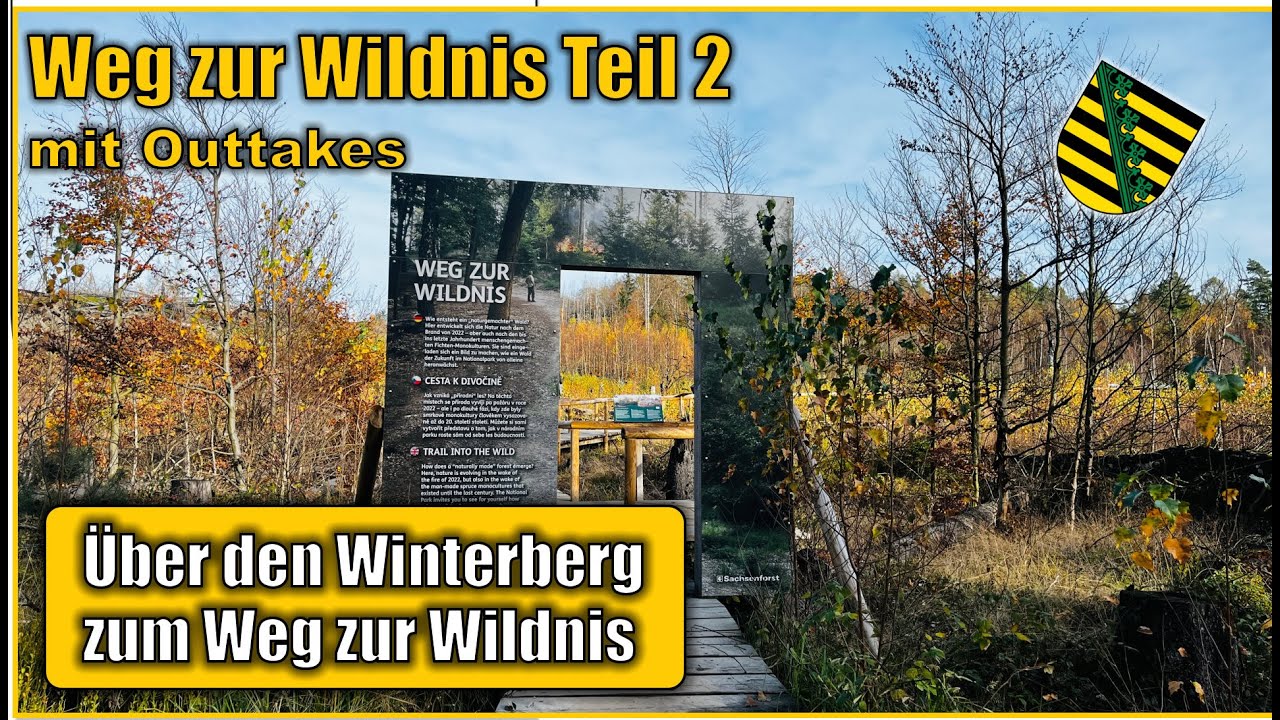 ÜBER DEN BERGSTEIG ZUM GROSSEN WINTERBERG | WEG ZUR WILDNIS TEIL 2 | LEHNSTEIG | SCHMILKA | S9 F3
