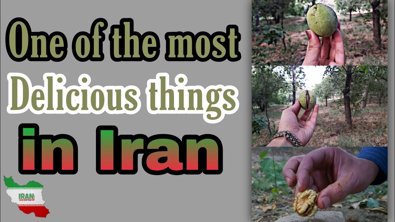 iran delicious walnuts | Walnuts | Walnuts tree | Walnut | - YouTube