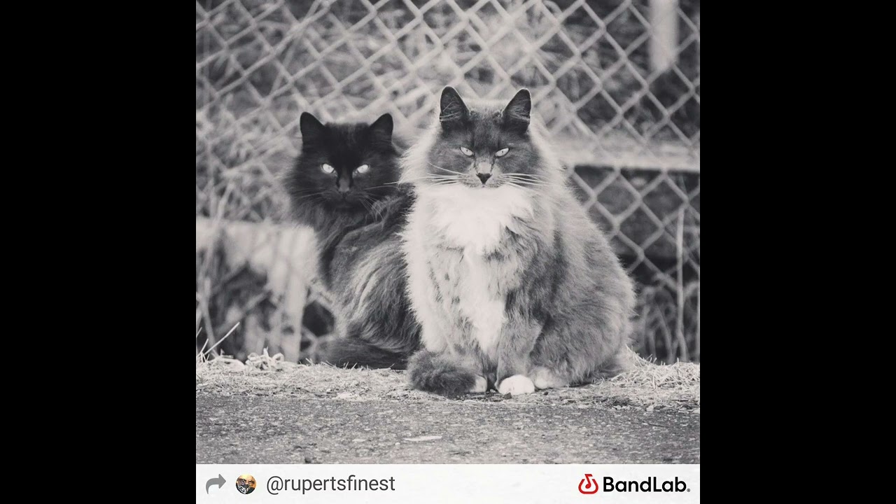 interludes w/ voices chorus by baconchristsuperstar