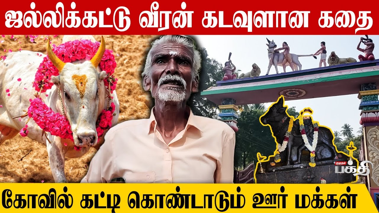 மாடுகளை வென்ற வீரன் மனிதர்களிடம் தோற்று கடவுளான கதை.! | Jallikattu Veeran Kovil