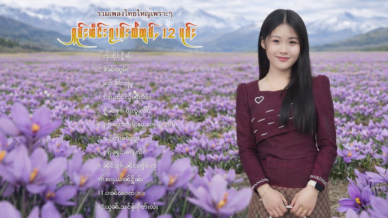 เพลงไทยใหญ่เพราะๆ | ႁူမ်ႈၽဵင်းၵႂၢမ်းလီထွမ်ႇ 12 ပုၵ်ႈ