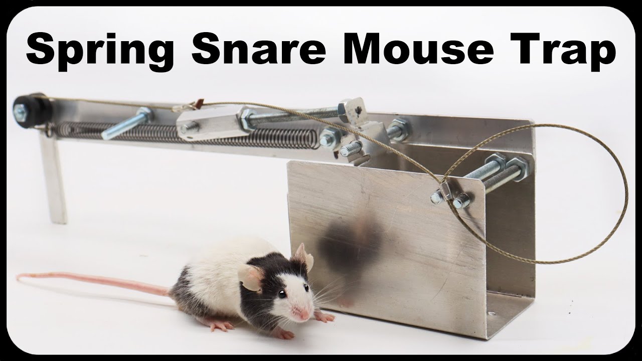 This New Spring Snare Mouse Trap Is Effective and Unique