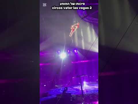 הקרקס הכי מטורף שהייתי בו אי פעם Foryou תנוסאב Youtubeshorts Shorts 