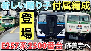 【修善寺編成】特急踊り子E257系2500番台登場！（修善寺駅停車中の185系踊り子号、伊豆箱根鉄道の様々な車両と共に）