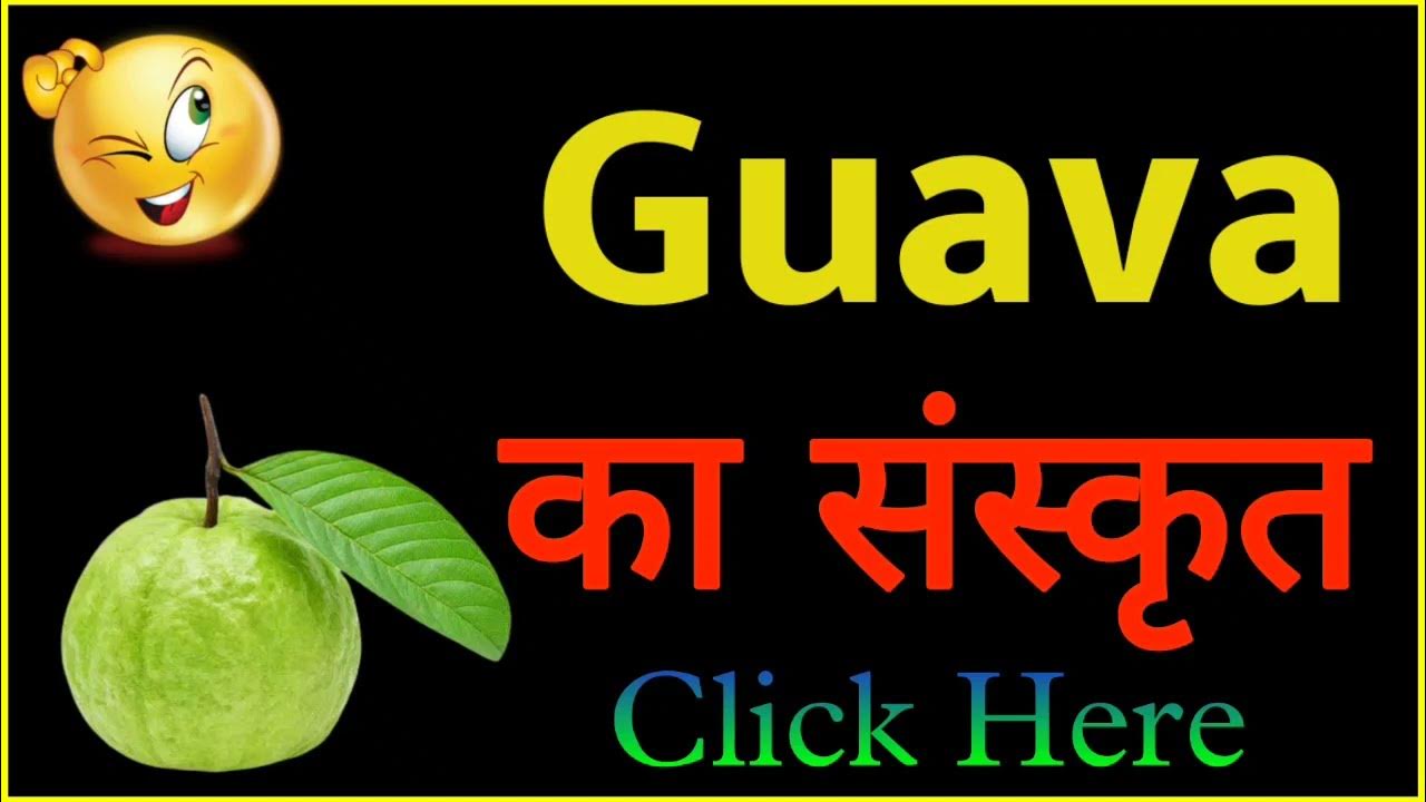 GUAVA Ko Sanskrit Mein Kya Kahate Hain GUAVA guava-ko-sanskrit-mein-kya-kahate-hain-guava