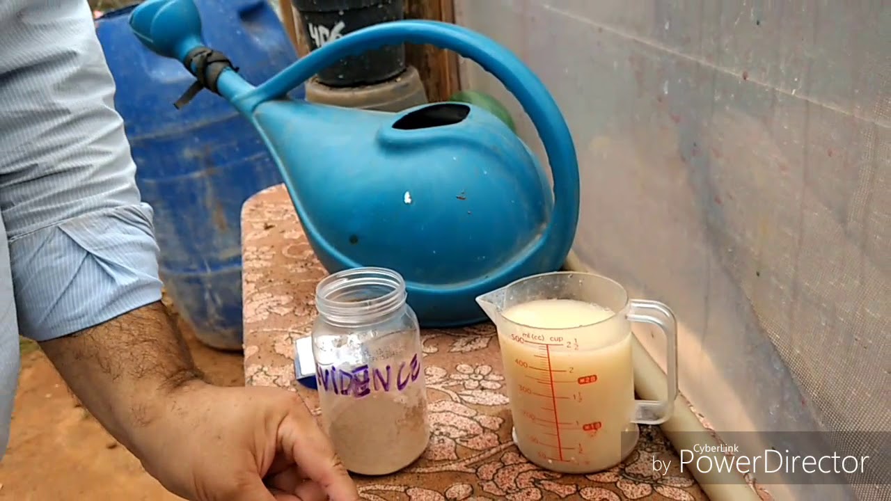Quanto Custa 1Kg De Evidence?