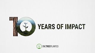 10 Years of Impact | One Tree Planted