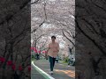 Sakura 桜🌸🇯🇵🇳🇵 || #short #shorts #shortvideo