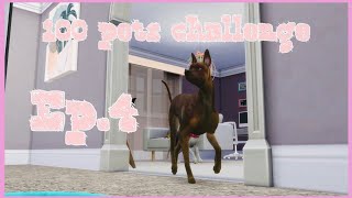 100 PETS CHALLENGE|SIMS 4|EP.4| Our babies are growing up + we have an animal shed!?