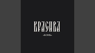 картинка: Конь