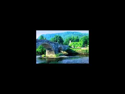 عبادي العماري وانتي اول كاع بربوع الهوه بيج انثرت حبي اوزرعته خضر احمل سنابل بس محصوله افلي او