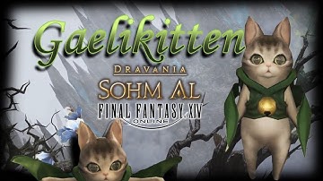 Gaelikitten Minion Guide