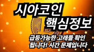시아코인 급등가능한 고래들 확인됩니다! 시간 문제입니다