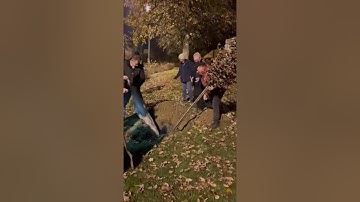 BAMPLANZAKTIOUN 2025