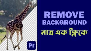 Remove (Video's) Background in One Click || Adobe Premiere Pro Tutorial