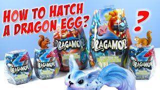 Dragamonz Toys Dragon Packs Unboxing Sneak Peak Spin Master screenshot 1