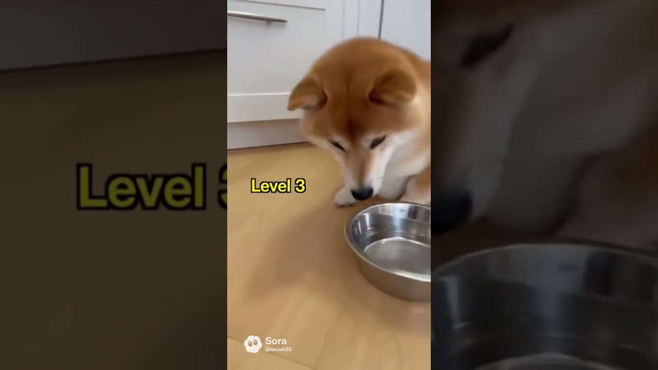 20251105_0816_01k95984tdeprr8bjjxe1awkcv