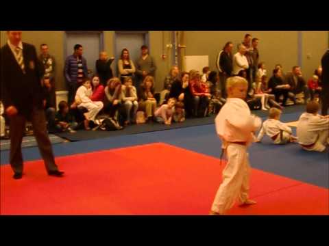 Judoschool van Heest