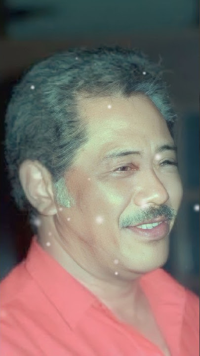 Dicky Zulkarnaen‼️Dulu Hingga Sekarang #artis #pemeran #legend #indonesia