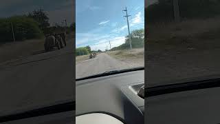 Catamarca Los Varela ruta 1
