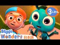 ハエ | ブリッピーワンダーズ | 子供向け動画 | 人気アニメ