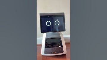 Astro, act like a mosquito #astrorobot #astro #robot #amazongadgets #mosquito