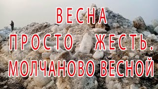 Весна просто жесть. Молчаново весной.