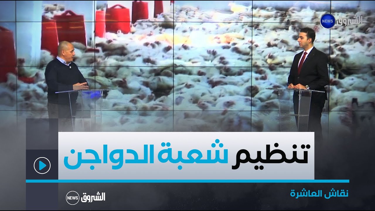 نقاش العاشرة | تنظيم شعبة تربية الدواجن.. اجراءات جديدة لفائدة المربين