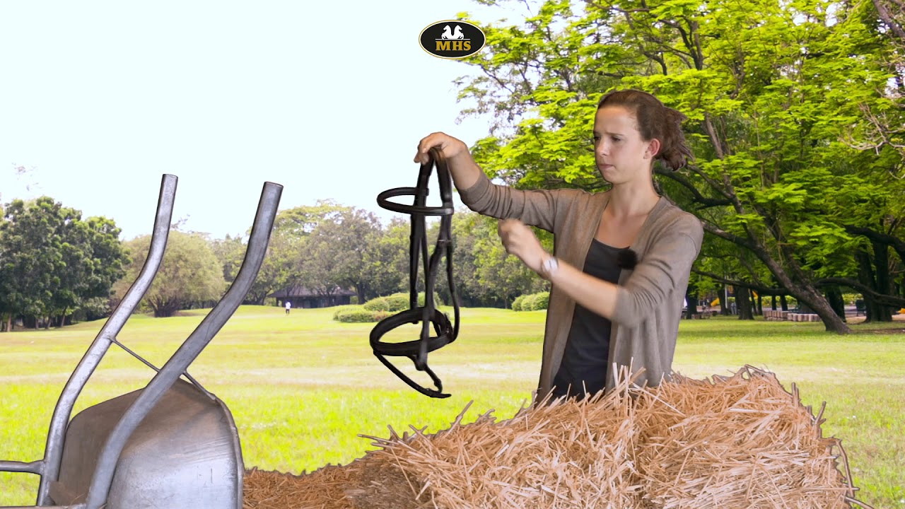 Harry's Horse | Bridle Luxury, flash cavesson nose band