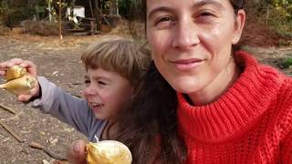 Será muy tarde?  Siembra de Ajos  Un día frío en el huerto y los pequeños ladrones de tomates.