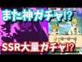 【グラクロ】無料チケットを使え‼︎ 2000万DL大感謝祭 STEP1〜7まで一気に回してみた‼︎ 七つの大罪 光と闇の交戦 The Seven Deadly Sins Grand Cross