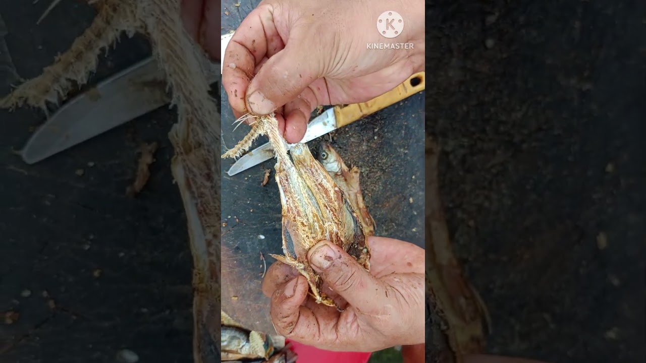 Tastiest fermented dry fish...