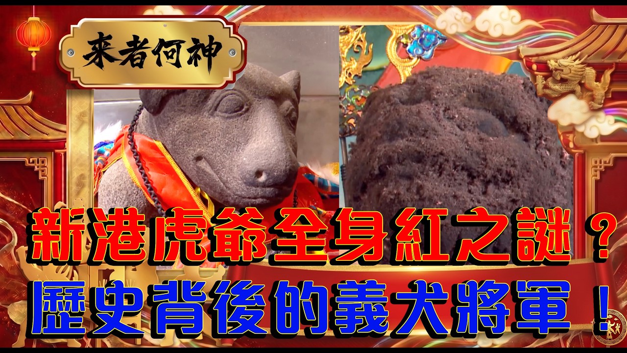 新港虎爺全身紅之謎？歷史背後的義犬將軍！＃新港奉天宮 #北港義民廟 ＃金虎爺 ＃土地公 ＃義犬將軍