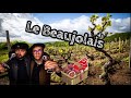 Bons vivants dans le beaujolais   gueuleton