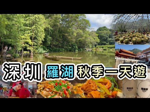 【深圳】地鐵直達：國家4A旅遊景區仙湖植物園👊附完整一天路線👊晚飯：金光華商場➕蔻蔻椰➕順德菜👊深圳好去處2023｜深圳一日遊｜蓮塘口岸｜深圳景點｜深圳美食｜深圳商場｜深圳打卡點