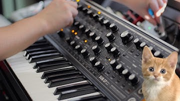 Exploring the Moog Sub 37 – Part 2