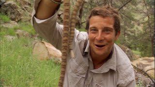 【How To】ガラガラヘビの締め方 | Man vs. Wild サバイバルゲーム (ディスカバリーチャンネル)