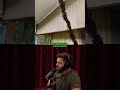 Ants Make A Rope To Attack A Wasp Nest 😱 #youtubeshorts #shorts