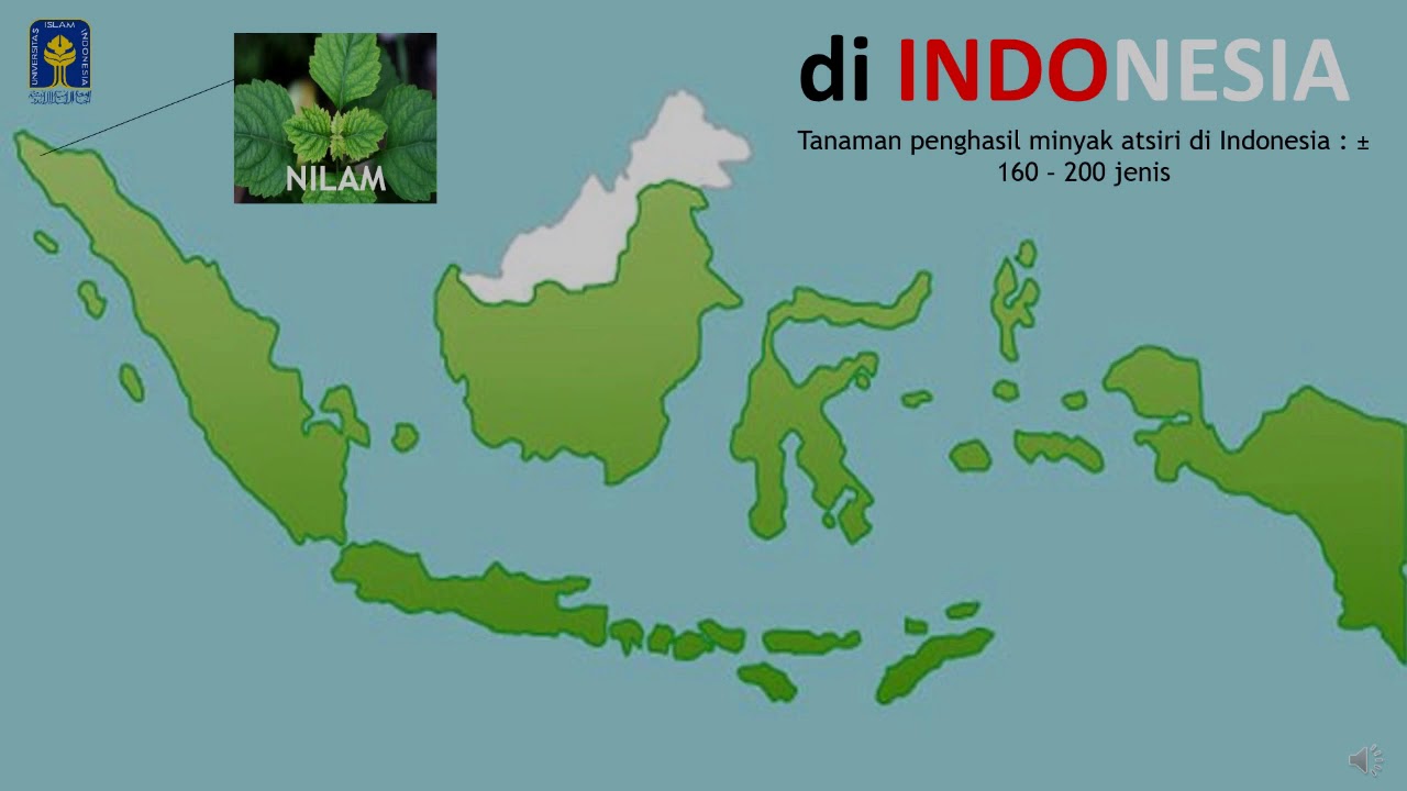 Industri Kimia : Minyak Atsiri 