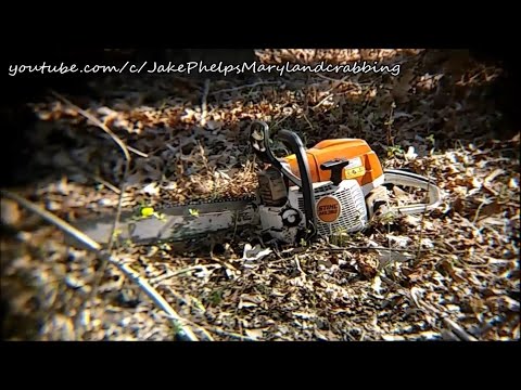 Stihl MS 362 Best Professional Chainsaw Review