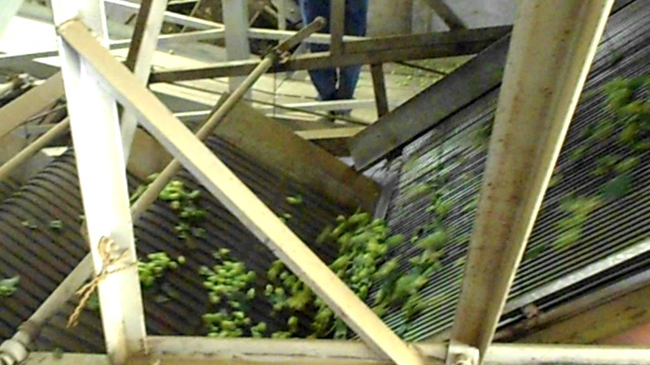 Segal Hop Cleaning/Separating